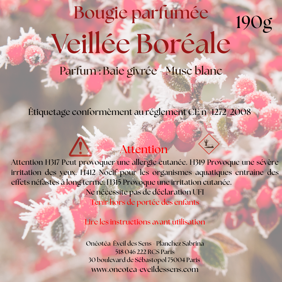 ❄️✨Bougie de Noël – Veillée Boréale ✨
