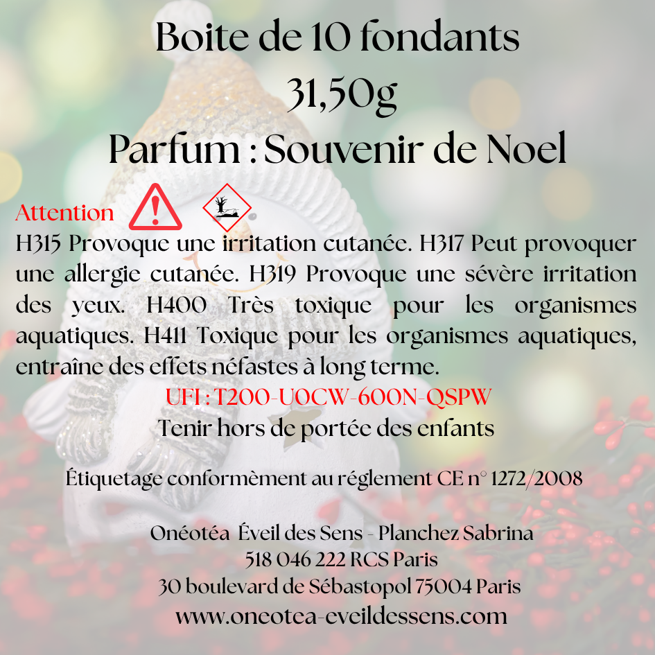 🎅🎄 Boîte de Noël – Parfum Souvenir de Noel 🎅🎄