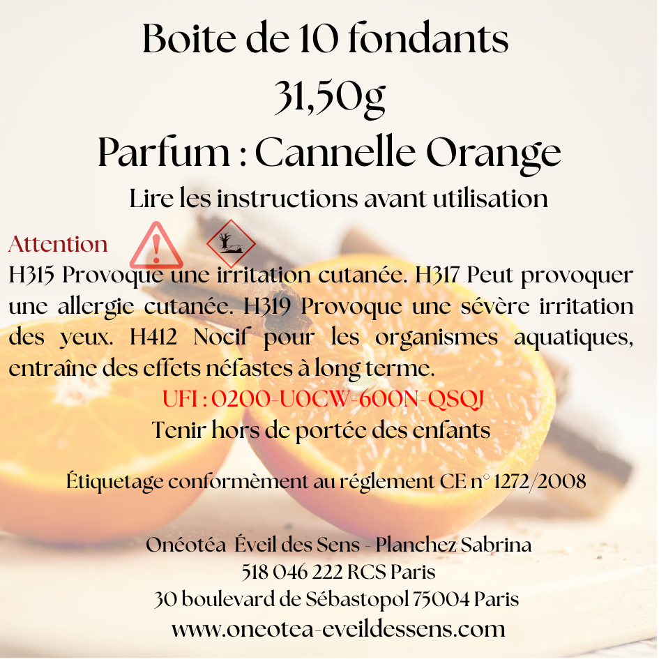🎄🍊 Boîte de Noël – Parfum Cannelle Orange 🎄🍊
