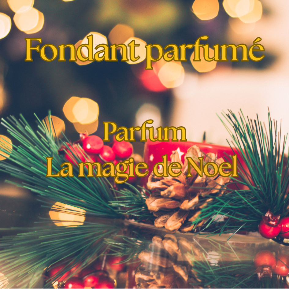 🎅🎄 Boîte de Noël – Parfum La Magie de Noel 🎅🎄