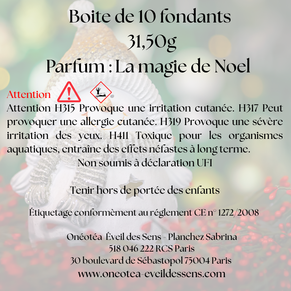🎅🎄 Boîte de Noël – Parfum La Magie de Noel 🎅🎄