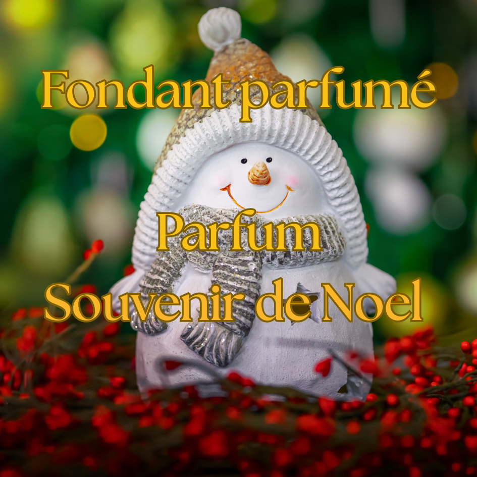 🎅🎄 Boîte de Noël – Parfum Souvenir de Noel 🎅🎄