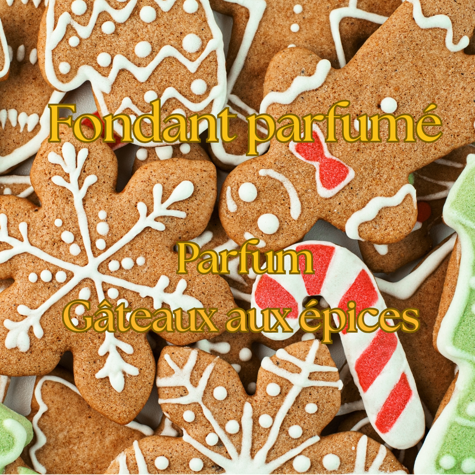 🍯🎄 Boîte de Noël – Parfum Gâteau aux épices 🍯🎄