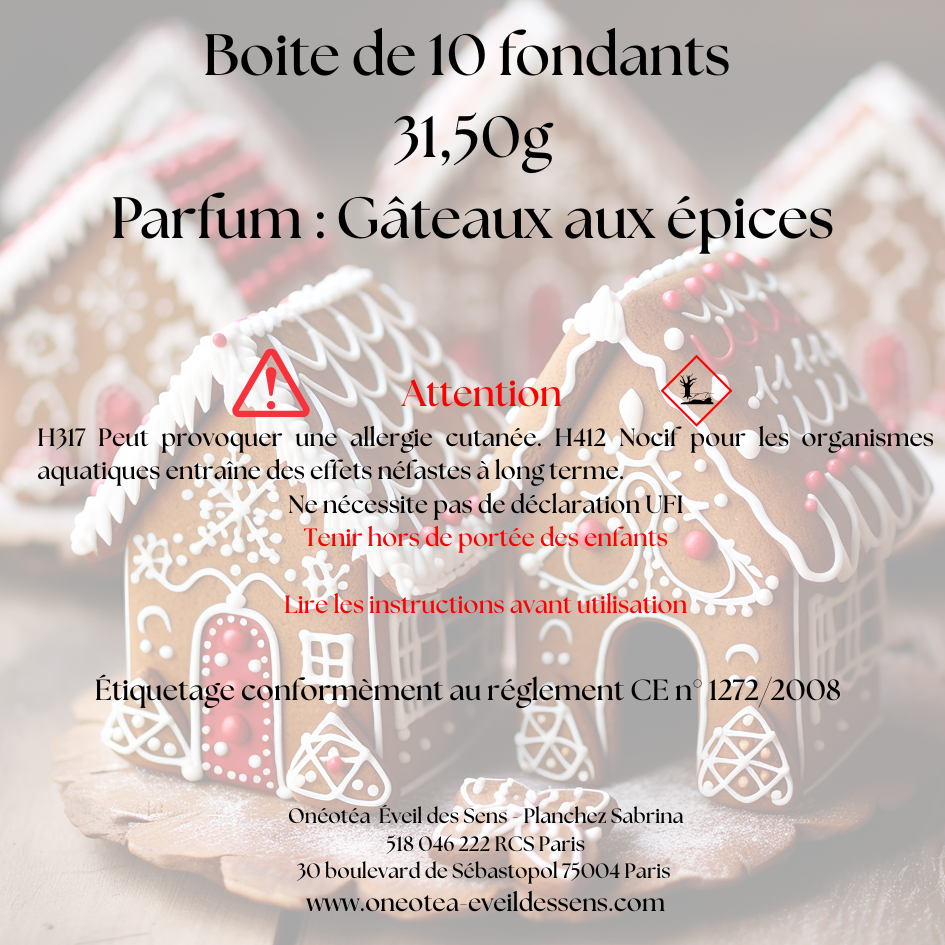 🍯🎄 Boîte de Noël – Parfum Gâteau aux épices 🍯🎄
