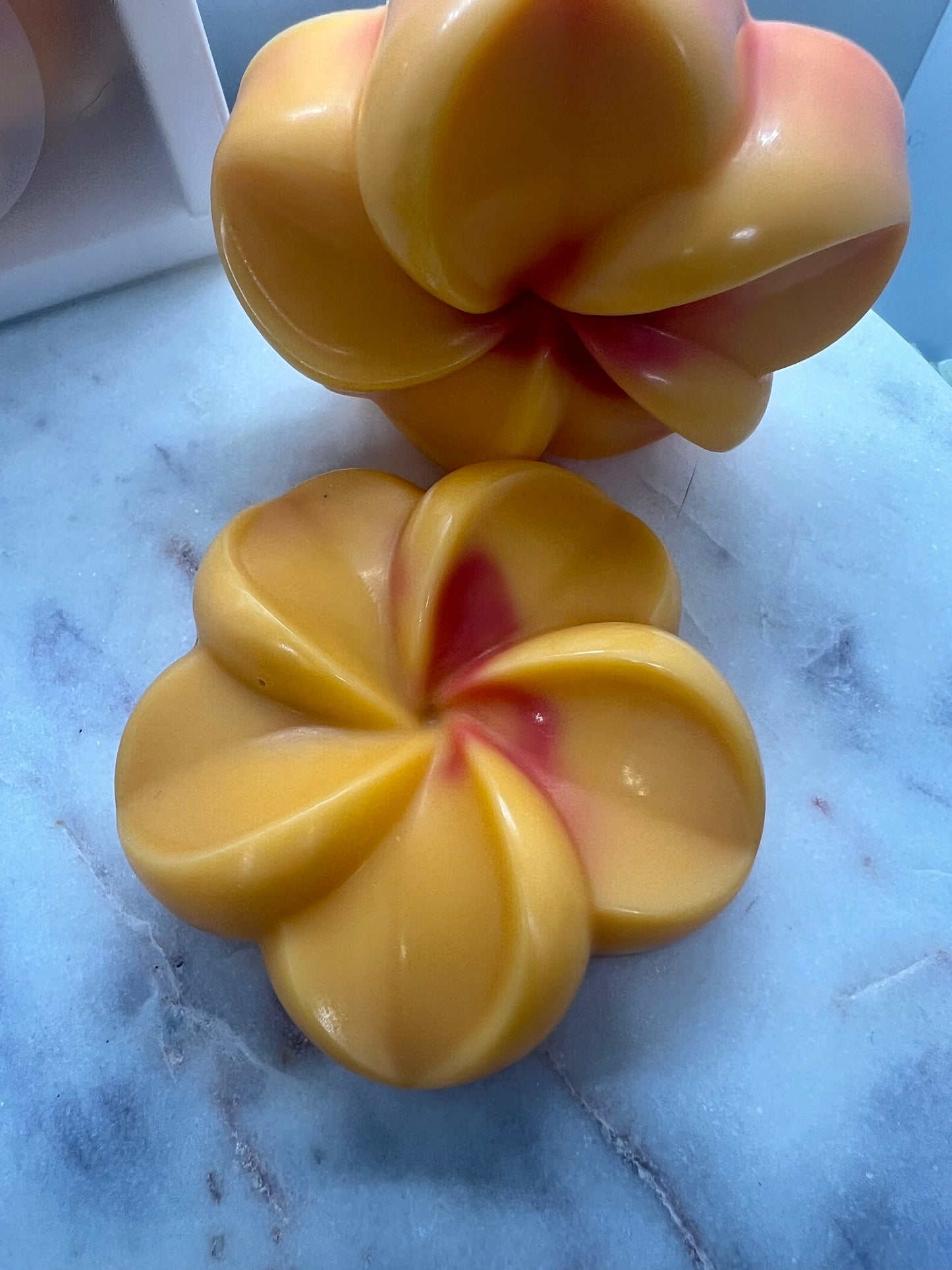 Fondant Parfumé ÉTÉ GIVRÉ