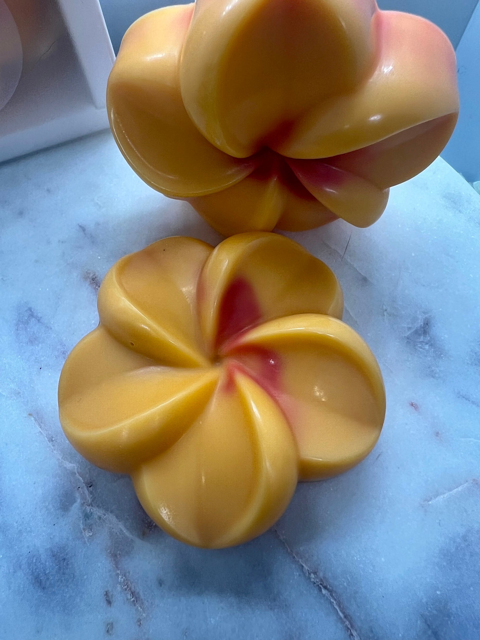 Fondant Parfumé ÉTÉ GIVRÉ