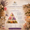 Pyramide Olfactive : Notes de Tête, Coeur & Fond | Onéotéa