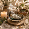 Sauge Blanche : Bienfaits, Purification & Utilisation | Onéotéa