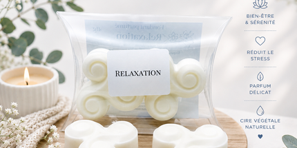 Relaxation - Notes fraîches et vivifiantes 🌿 Lot de 2 Fondants Parfumés