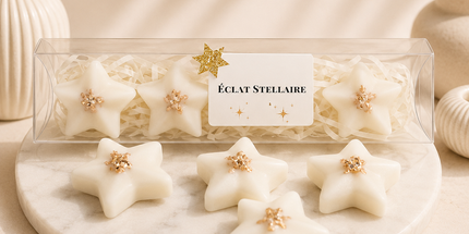 Éclat Stellaire 🌿 Lot de 4 Fondants Parfumés