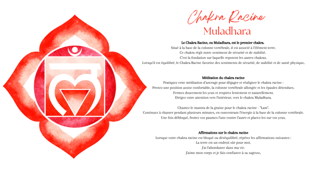 Fioles des Sept Chakras – Équilibrage Énergétique et Bien-être