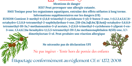 Fondants parfumés au Cèdre du Liban – La fraîcheur de la forêt chez vous 🌲