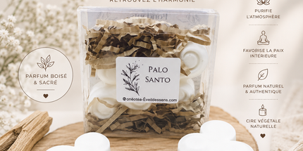 Fondants parfumés Palo Santo purification en cire de soja lot de 2