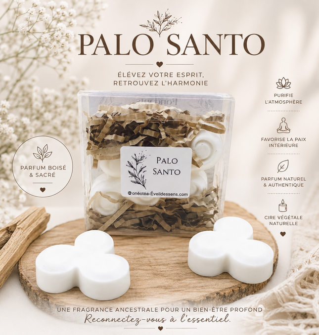 Palo Santo - Purification 🌿 Lot de 2 Fondants Parfumés