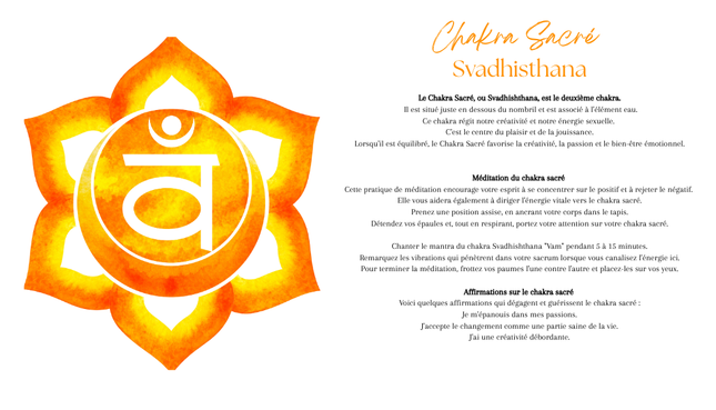 Fioles des Sept Chakras – Équilibrage Énergétique et Bien-être