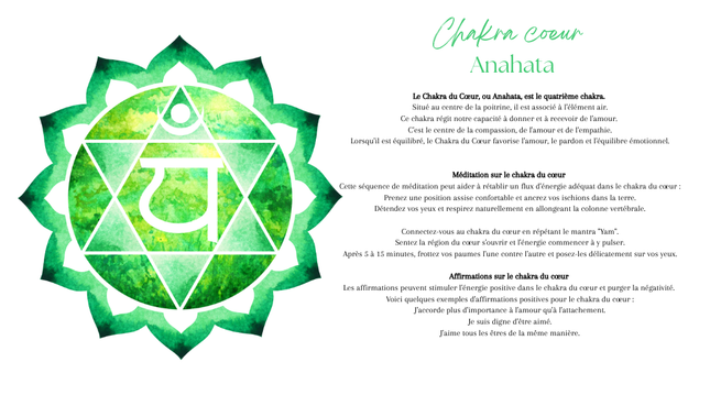 Fioles des Sept Chakras – Équilibrage Énergétique et Bien-être