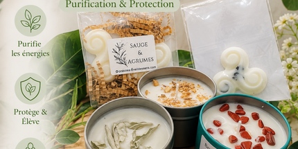 Box Purification & Protection