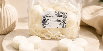 Cocooning 🌿 Lot de 2 Fondants Parfumés
