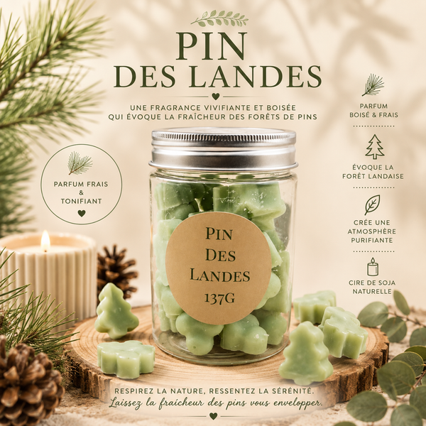 Pin des Landes 🌲🌿 Fondants parfumés