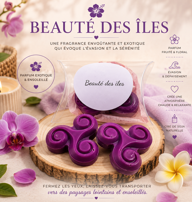 Beauté des îles ☀️  Fondant parfumé - Vendu à l'unité