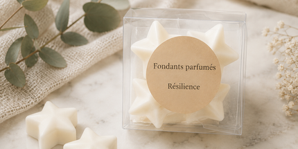 Lot de 4 fondants parfumés Résilience musqués boisés en cire de soja, parfum chaleureux, contenant réutilisable en plastique.