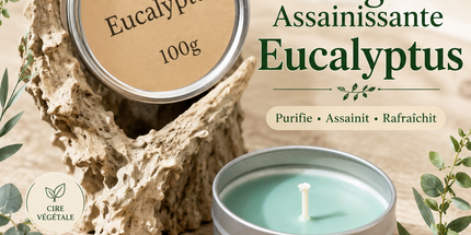 Bougie parfumée eucalyptus en cire de soja avec contenant métal réutilisable pour une ambiance fraîche et purifiée