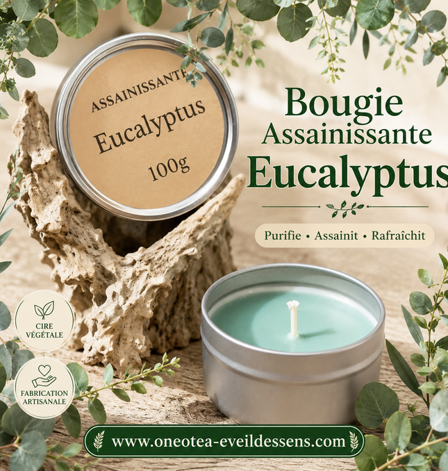Bougie assainissante Eucalyptus