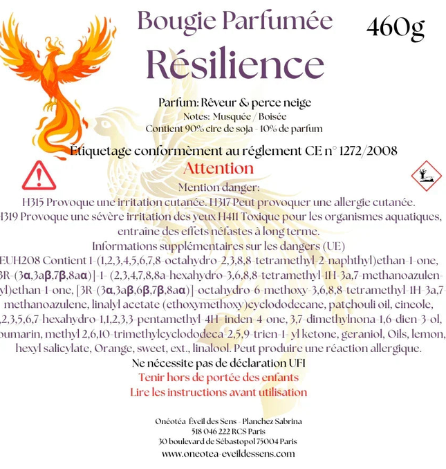 Bougie parfumée Résilience en verre avec notes musquées et boisées pour la transformation spirituelle