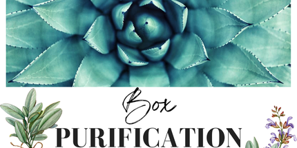 Bougies et fondants parfumés artisanaux, fabrication française naturelle.