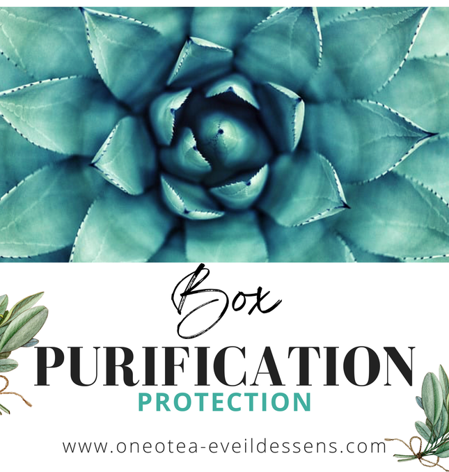 Bougies et fondants parfumés artisanaux, fabrication française naturelle.