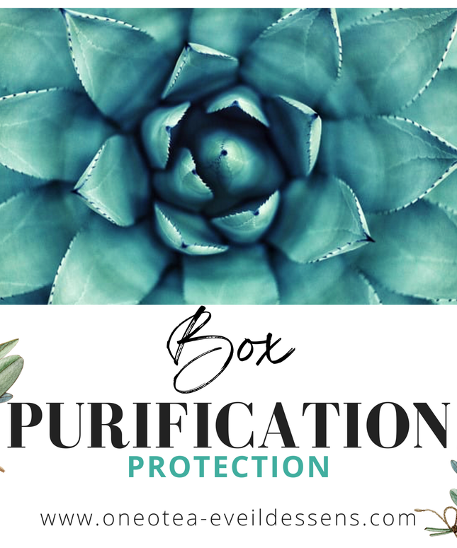 Bougies et fondants parfumés artisanaux, fabrication française naturelle.