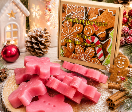 Fondants parfumés Gâteau aux Épices | Noël | Onéotéa