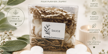 Lot de 2 fondants parfumés sauge en cire végétale pour purification et équilibre spirituel