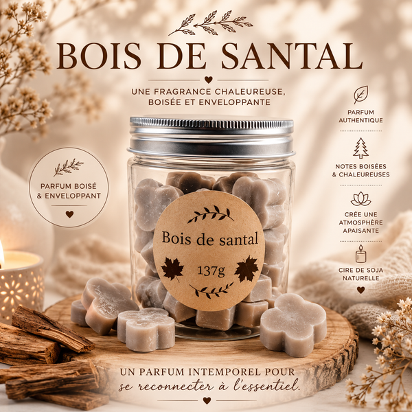 Bois de Santal 🌿 Fondants parfumés