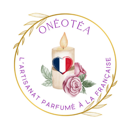 <h2>Guides d'utilisation disponibles</h2>