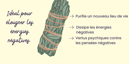 L’Artisanat Parfumé à la Française : l’Excellence, l’Émotion et le Savoir-Faire
