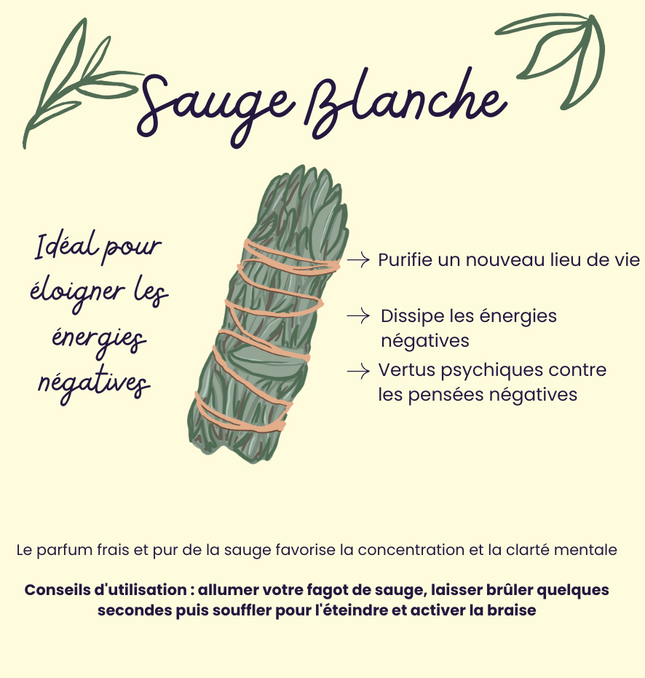 L’Artisanat Parfumé à la Française : l’Excellence, l’Émotion et le Savoir-Faire
