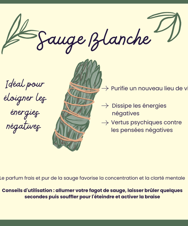 L’Artisanat Parfumé à la Française : l’Excellence, l’Émotion et le Savoir-Faire
