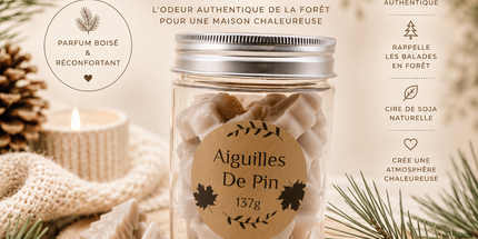Fondants parfumés Aiguilles de Pin pour une ambiance forestière apaisante
