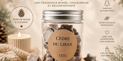 Fondants parfumés au Cèdre du Liban dans boîte réutilisable pour une ambiance forestière apaisante
