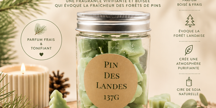 Onéotéa Eveil des Sens - l'artisanat parfumé à la française