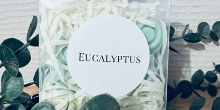 Fondants Parfumés Eucalyptus - Assainissant