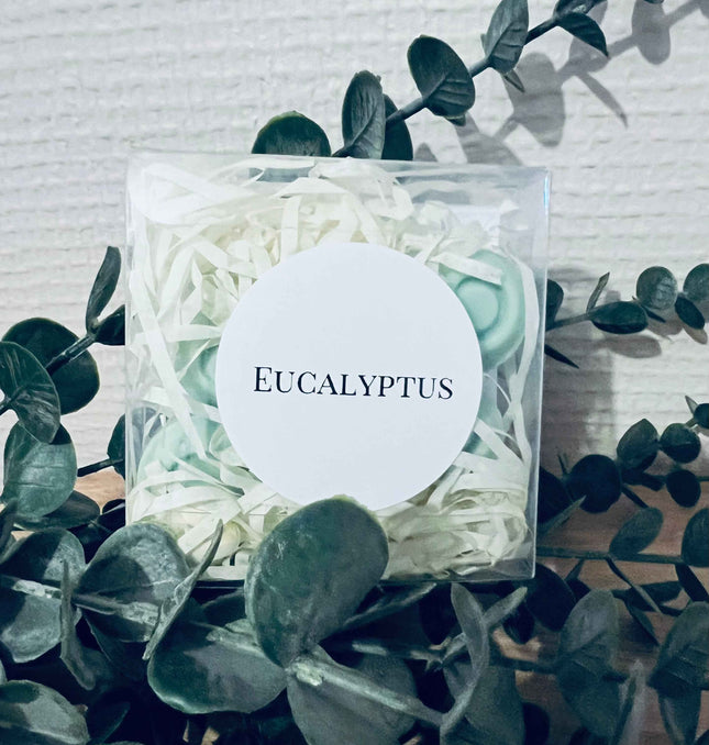 Fondants Parfumés Eucalyptus - Assainissant