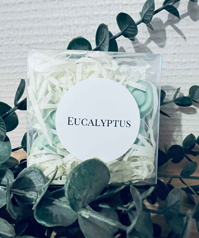 Fondants Parfumés Eucalyptus - Assainissant