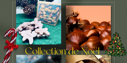 🌰✨ Boîte de Noël – Fondants parfumés Châtaignes Grillées ✨🌰