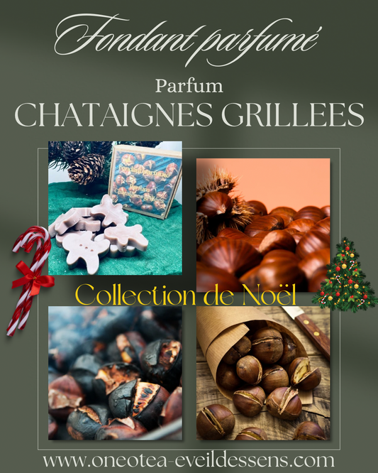 🌰✨ Boîte de Noël – Parfum Châtaigne Grillée ✨🌰