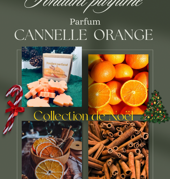 🎄🍊 Boîte de Noël – Fondants parfumés Cannelle Orange 🎄🍊