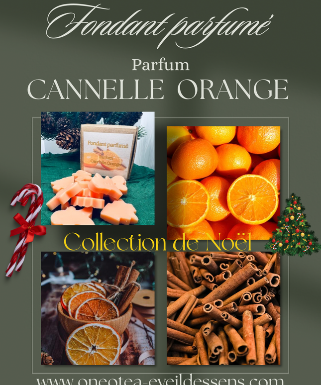 🎄🍊 Boîte de Noël – Fondants parfumés Cannelle Orange 🎄🍊