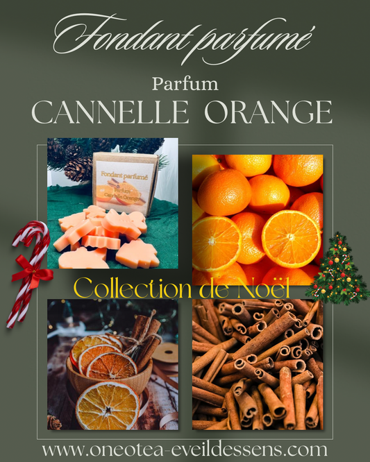 🎄🍊 Boîte de Noël – Parfum  Cannelle Orange 🎄🍊