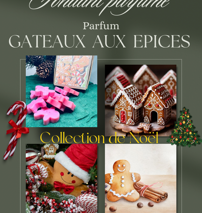 🍯🎄 Edition de Noël – Fondants parfumés Gâteau aux épices 🍯🎄